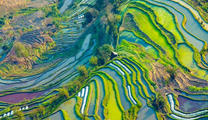 宝妈必备神器：砀山县产品视频拍摄轻松育儿好帮手