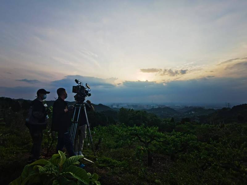 聚焦砀山县产品宣传视频拍摄公司，用专业实力铸就品牌传播传奇