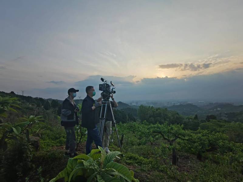 创意破圈！砀山县电商产品宣传视频用故事化叙事引爆流量