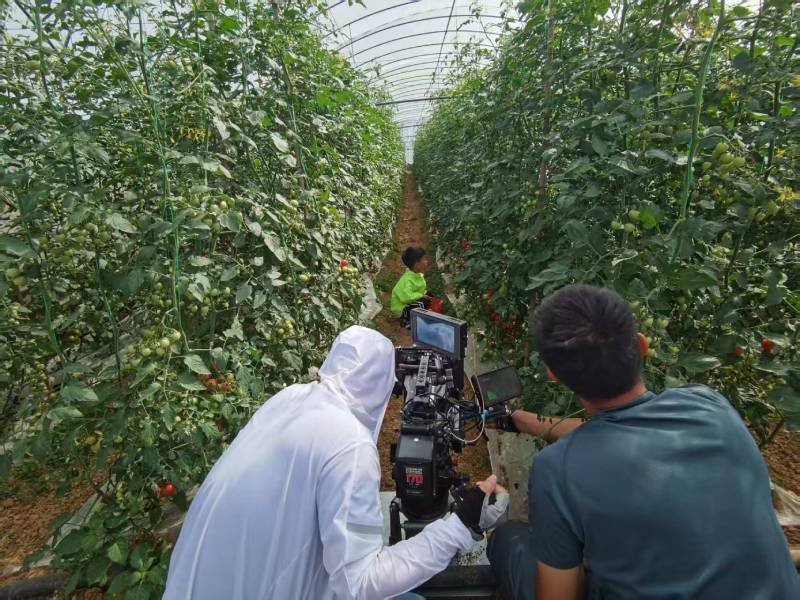 砀山县产品宣传视频拍摄公司进阶指南，助力品牌抢占传播高地